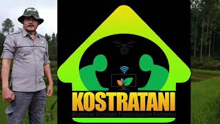 Mars Kostratani