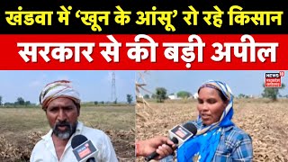 Khandwa News खत म खरब हई फसल, सडक पर उतर कसन फर भ नह मल समधन Mp News