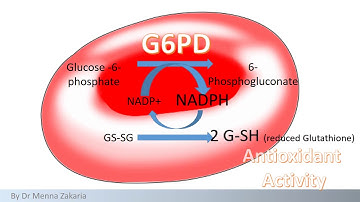 G6PD deficiency anemia case
