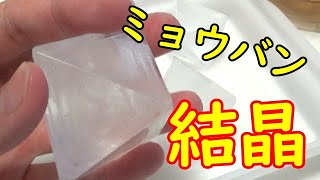 【簡単実験】目指せ！大きくきれいなミョウバン結晶！その3自由研究にもぴったり！