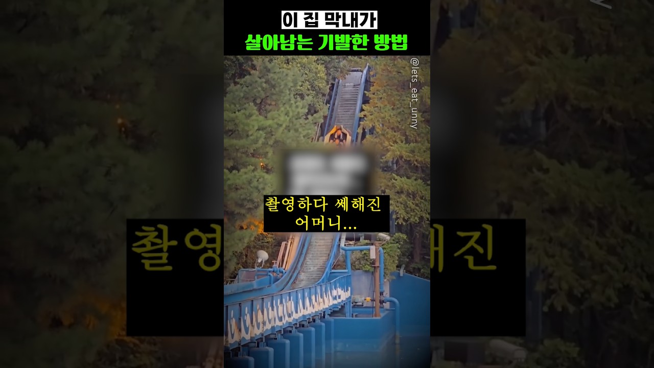 이 집 막내가 살아남는 기발한 방법