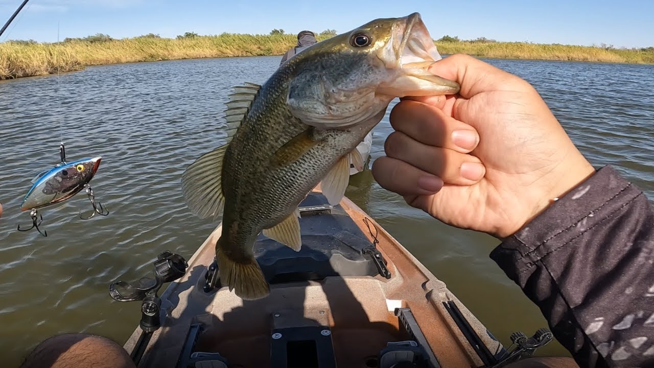 First time Bass fishing in the new kayak.