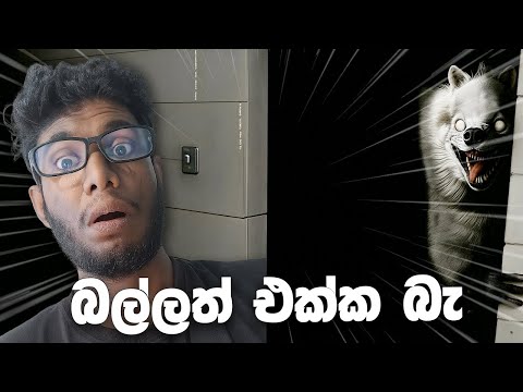 බල්ලත් එක්ක බැ..... 🐶 | The Classrooms Level 7