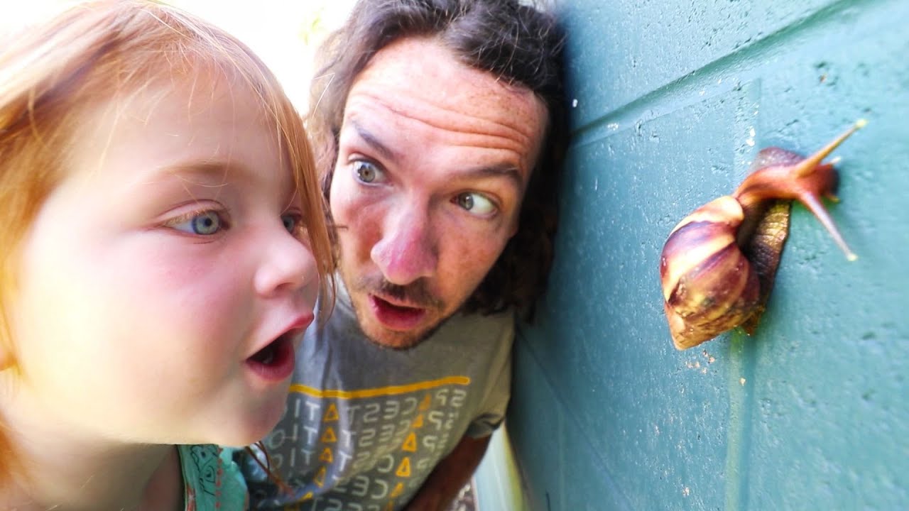 MY PET SNAIL!! New Morning Routine catching bugs with Adley in Hawaii ...