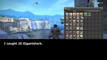 [FFXIV making Gil]Swimsuit appearing by Desynthesis of the Lord (gigantshark)
