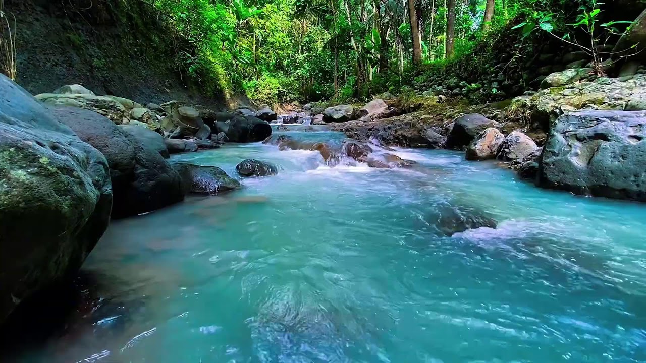 Flowing Mountain Water Sounds, Forest River Stream, Deep Sleep