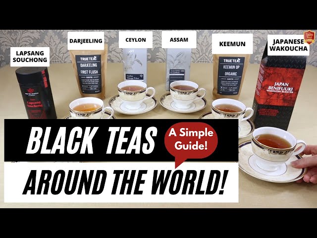 BLACK TEA TASTE TEST - A SIMPLE GUIDE | WORLD'S BEST TEAS | Darjeeling Ceylon Assam Keemun Lapsang.. class=