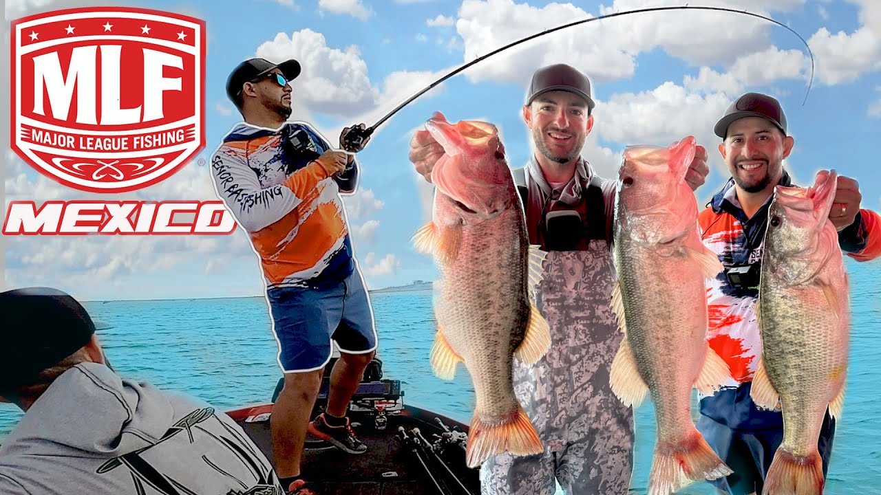 Lobinas Gigantes En Torneo De Pesca | Lake Cuchillo Open 2023