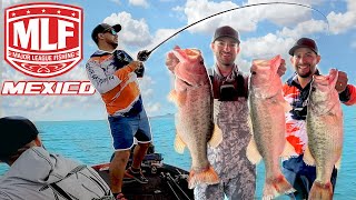 Lobinas Gigantes En Torneo De Pesca | Lake Cuchillo Open 2023