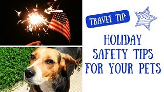 Holiday Safety Tips for Your Pets | How to Keep Your Furry Loved Ones Safe & Protected