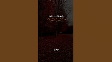 #سورة_آل_عمران #قاريء #سعد_الغامدي 🤍