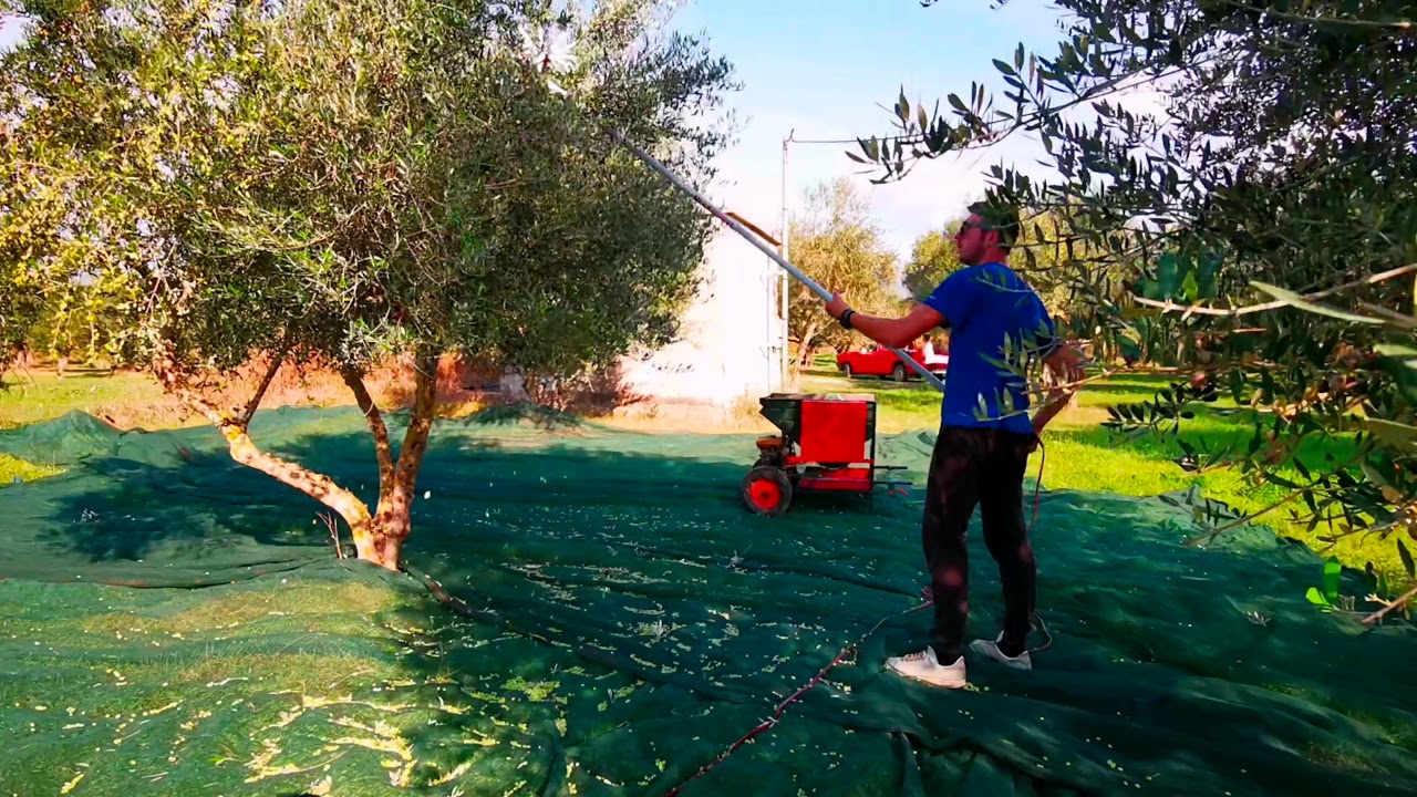 Ελαιοραβδιστικο  ΝΙΦΆΔΑ x14  - Yamastik  🇬🇷