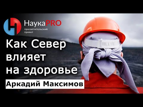 Как экстремальные условия Севера влияют на здоровье людей – Аркадий Максимов | Научпоп