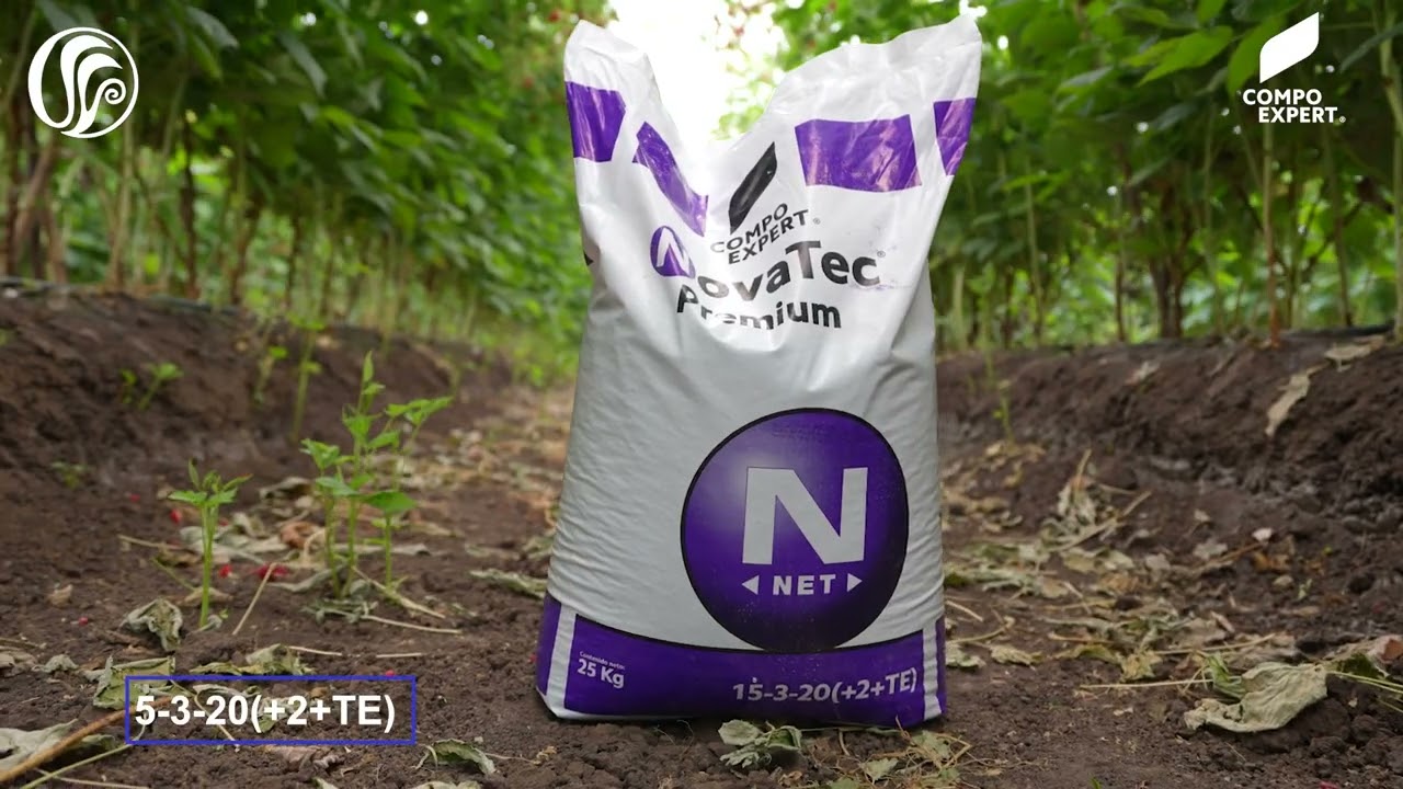 ¡Conoce NovaTec Classic!