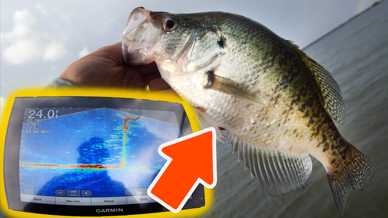 lfg คือ  Update  Livescope Fishing for SLAB Crappie (First Time Use AMAZING!)