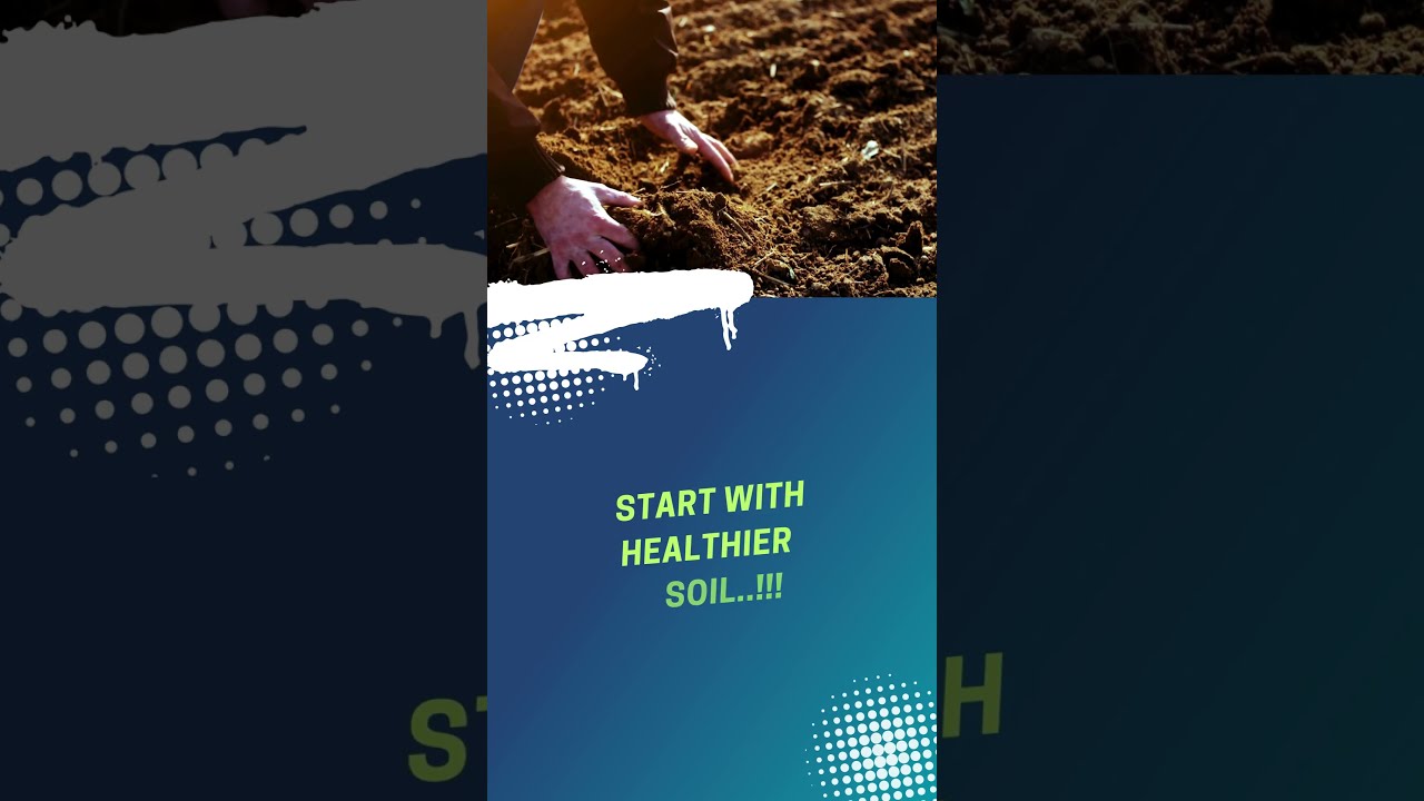 Healthy Soil = Healthy Food! 🍎🥦 