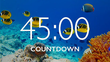 45 Minute Timer with Relaxing Music and Alarm