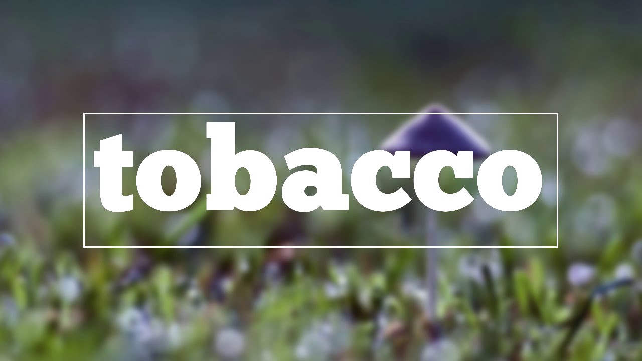 ploom purple option tobacco sticks Ploom EVO Purple Option Sticks EVO Purple Option Ploom Tobacco Sticks