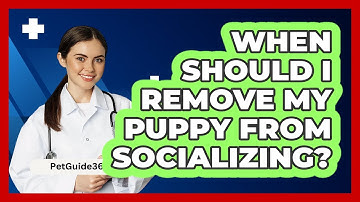 When Should I Remove My Puppy From Socializing?