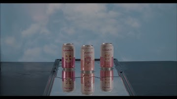 SPINDRIFT COMMERCIAL