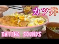 《Eating sounds/咀嚼音》カツ丼!
