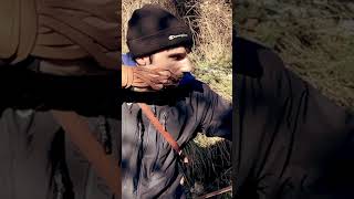 Sergio Tira Con Il Longbow Asl In Stile Howard Hill 3D Nel Bosco