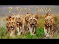 7 Topi Male Lions Masai Mara National Park 7 Topi Male Lions Masai Mara National Park