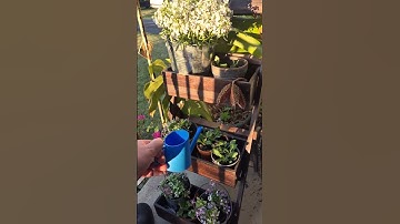 watering can #timelapse #3dprinter #3dprinting #3dprinted #useful #plants #plant #greenthumb