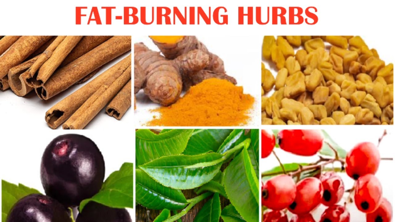 The 6 Best Herbs for Fat Burning Herbal Plant Power