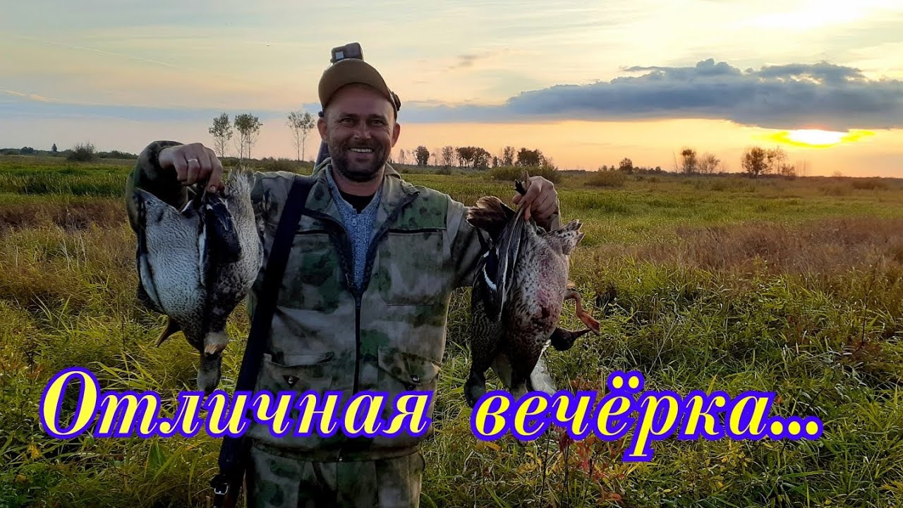 Шикарная утиная вечёрка | Стрелял так, что штаны лопнули | Тьма комаров на болоте