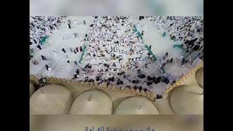 ماتيسر من سورة القيامة بصوت الشيخ قاسم أبو السِعِد