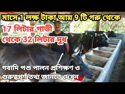 ভিডিও: গবাদি পশু ইসফাহান