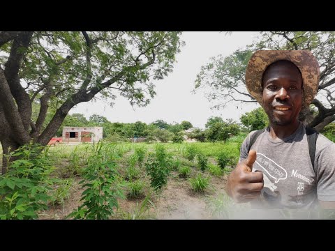Life On An Integrated Farm During The Winter Season 