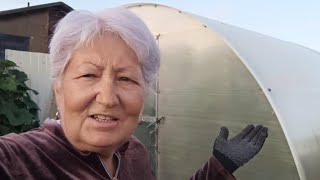 видео: 17 августа. Распаковка швейной машинки. Будет ли борщевая заправка? Валерий Владимирович опять упал. картинка: 17 августа. Распаковка швейной машинки. Будет ли борщевая заправка? Валерий Владимирович опять упал.