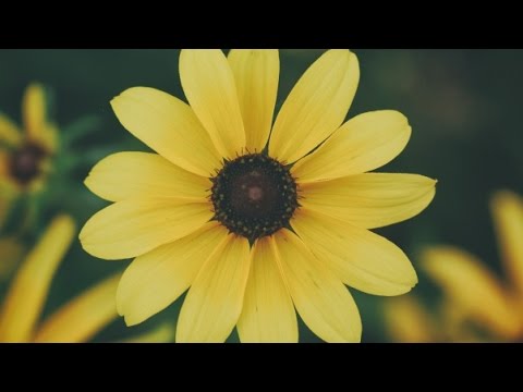 اسم الله من العين 2017 