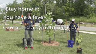 How to Plant a Tree - Demonstration during COVID-19 Social Distancing