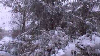 winter 2009 DivX.avi