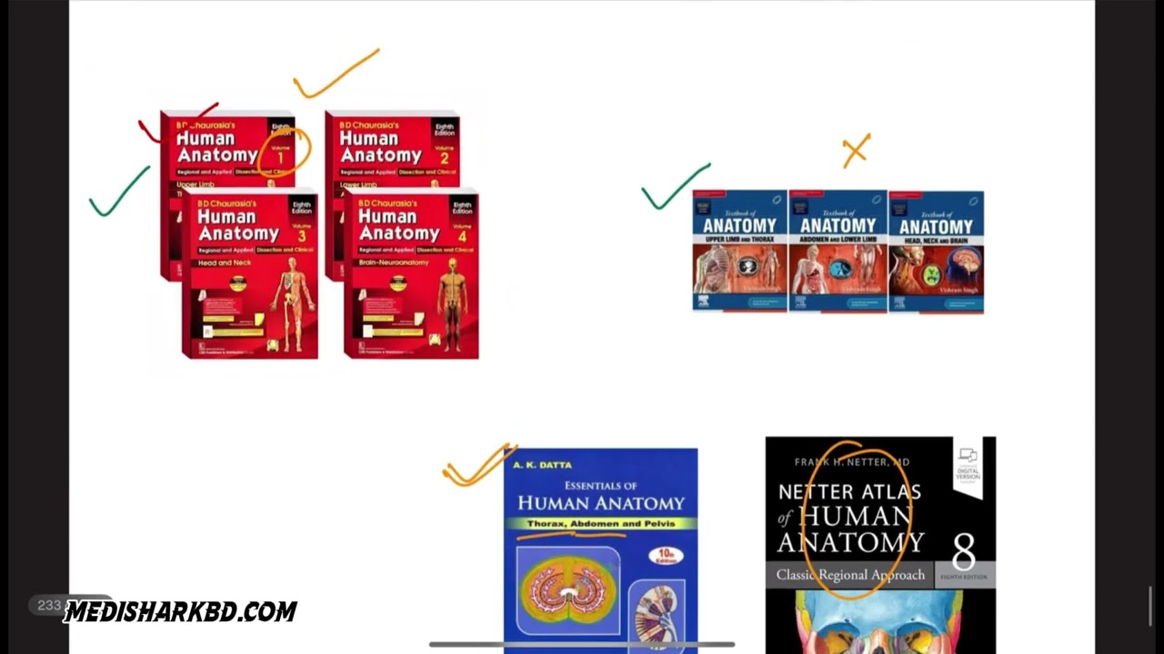 Thorax Anatomy Guideline by Medishark