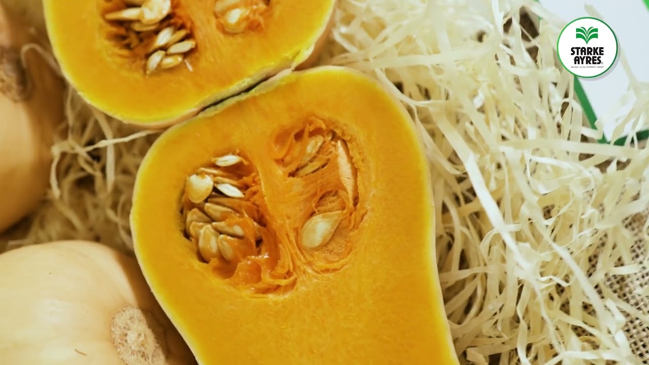 SA Field Day 2023   Butternut