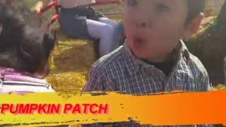 (UVI ) PUMPKIN PATCH GOEBBERT'S HAMPSHIRE IL PART 1