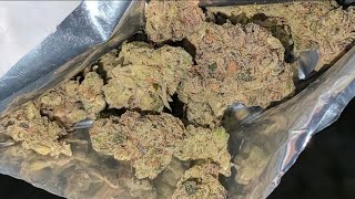 THCA SMALL BUDS | SLURRY | PURPLE PLATFORM | This one is PURE SKUNK!⛽️🦨🔥Thca review!!