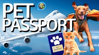 PET PASSPORT: The Document Your Dog Needs To Fly To Europe