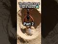 Antlion Attack — No Escape From This PitThe Sand Monster That Eats Ants #facts #shortvideo #shorts