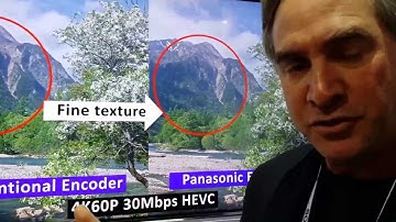 CES 2014 PANASONIC BOOTH HVEC H265