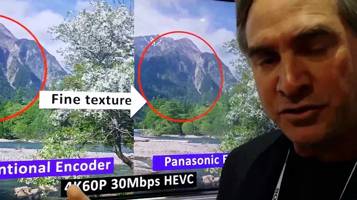 CES 2014 PANASONIC BOOTH HVEC H265
