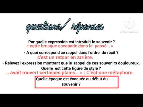 2bac il était une fois un vieux couple heureux analyse: chapitre 1 page 24/ 26 question/réponse