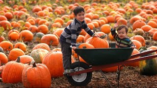 9 local activities to check out with your kids this fall - New Day Northwest