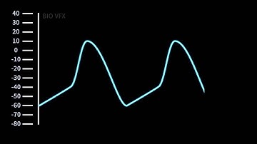 Pacemaker Action Potential