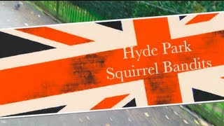 Information Hyde Park Squirrel Attack Update