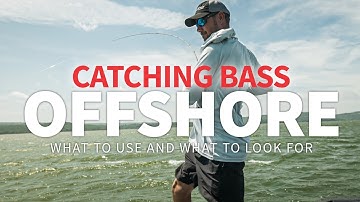 Vissen op baars op zee: Hoe je baars op zee kunt lokaliseren en vangen!